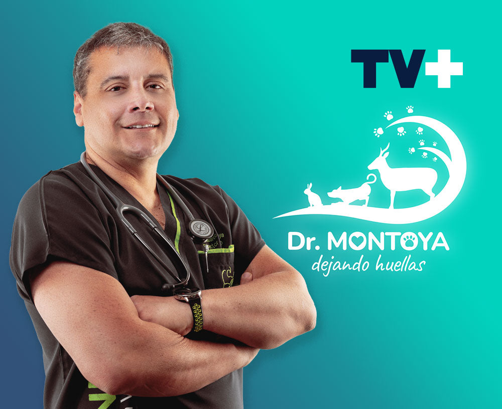 Cargar video: 